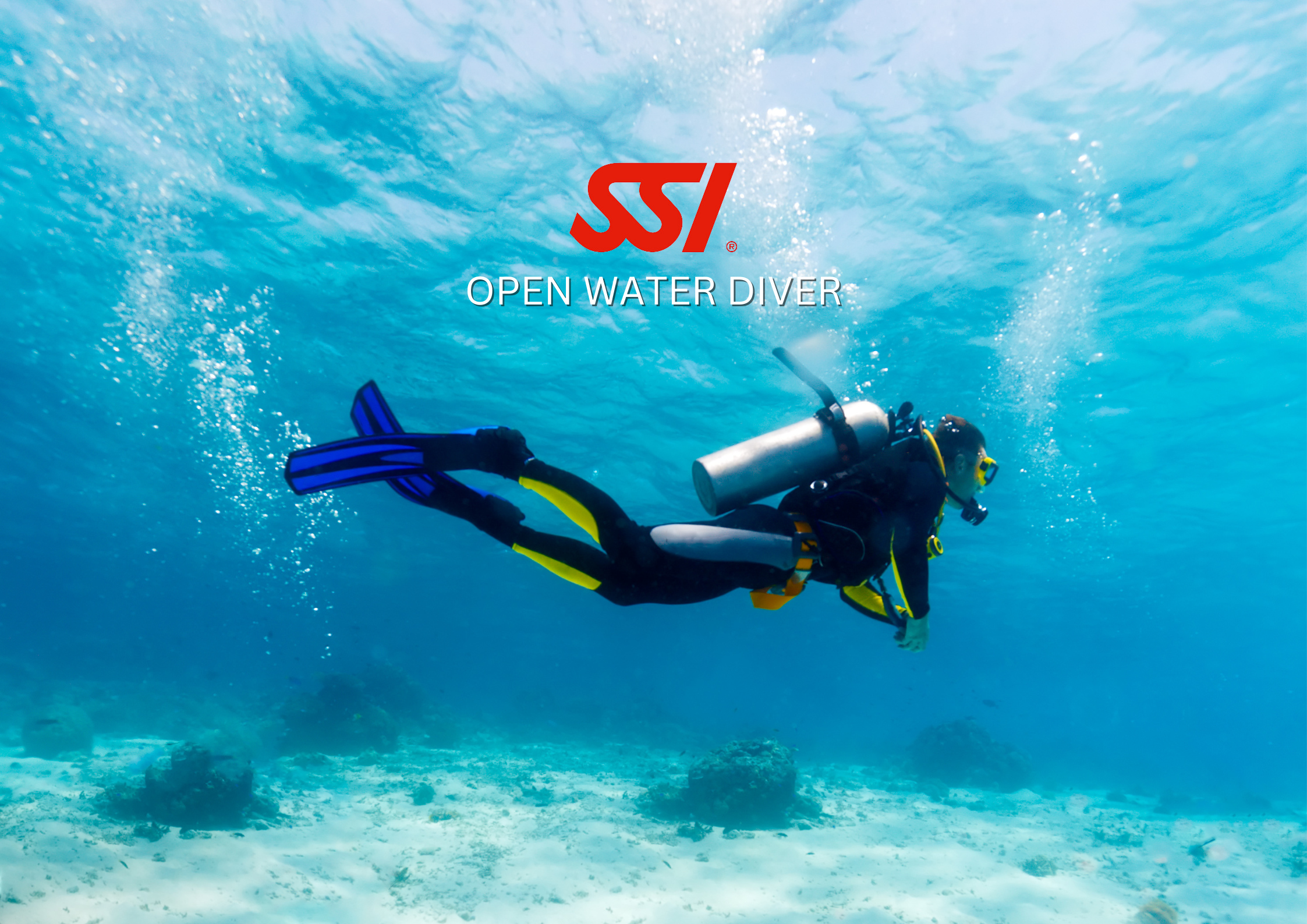 Open Water Diver
